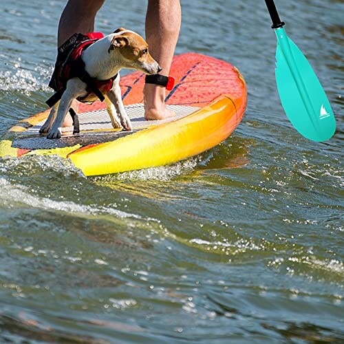 Adjustable Kayak Paddle