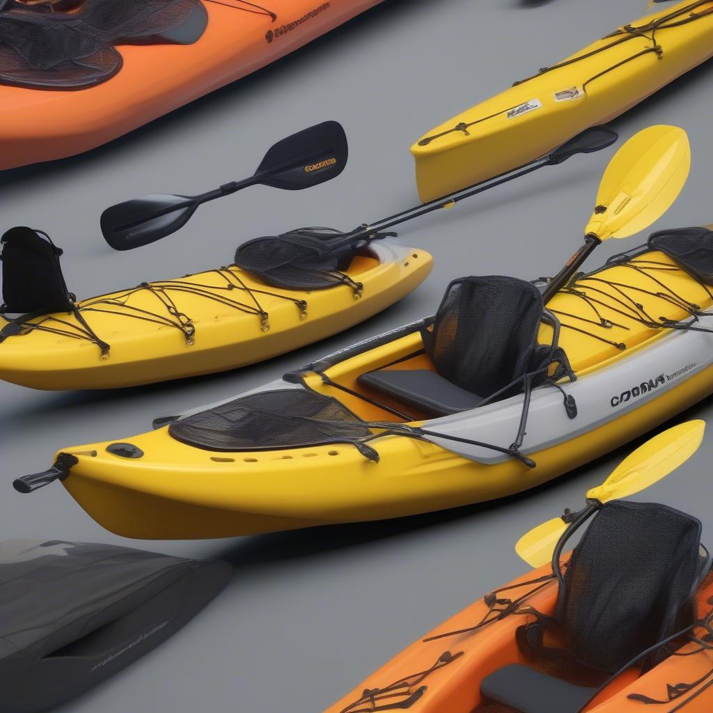 Kayak Accessories