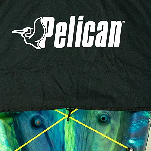 Pelican logo on a colorful background with abstract design.